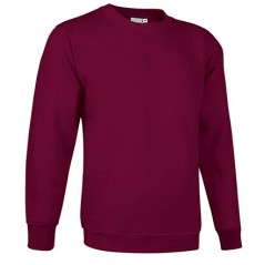 Sweatshirt Dublin