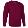 Sweatshirt Dublin