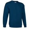 Sweatshirt Dublin